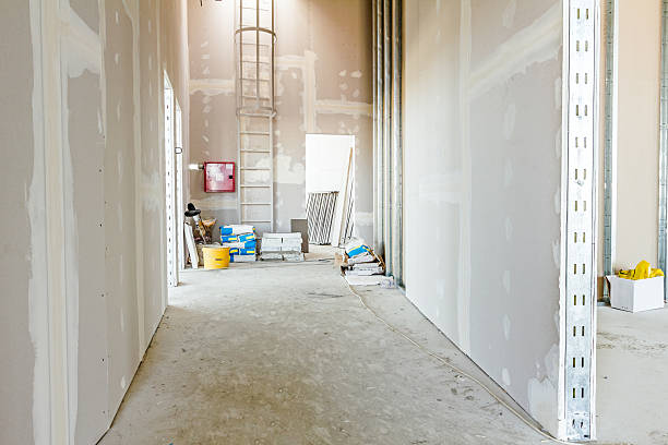 Trusted Hallam, PA Mold Removal Experts